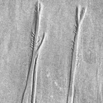 Image 6 - Stream As Sculpture