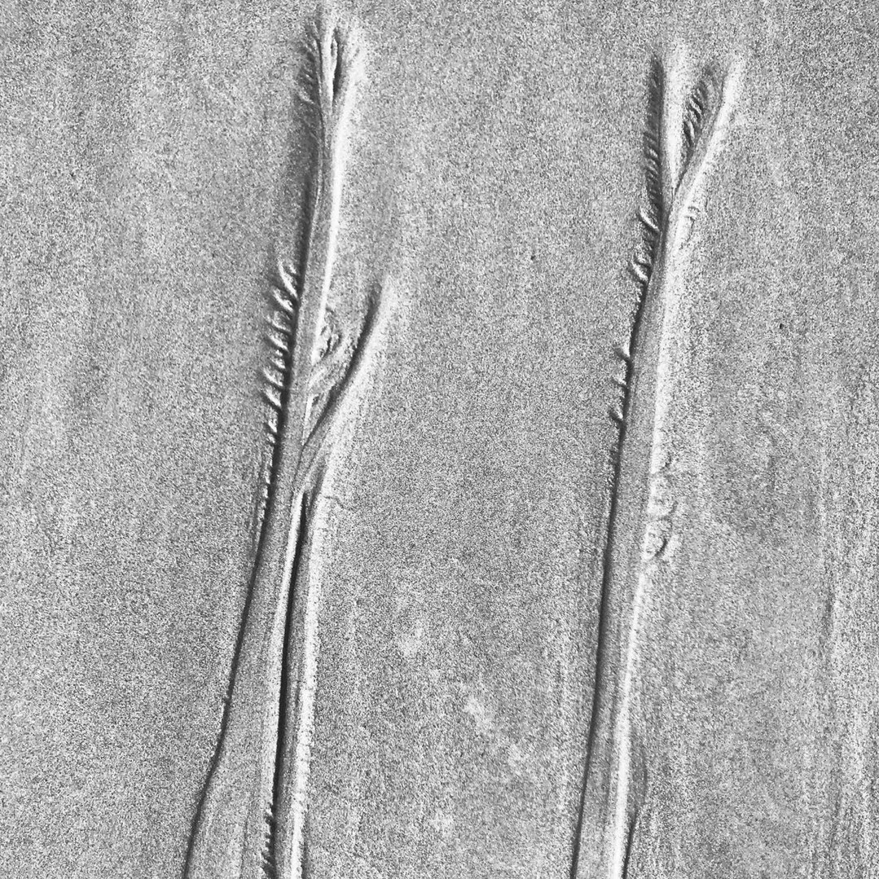 Image 6 - Stream As Sculpture