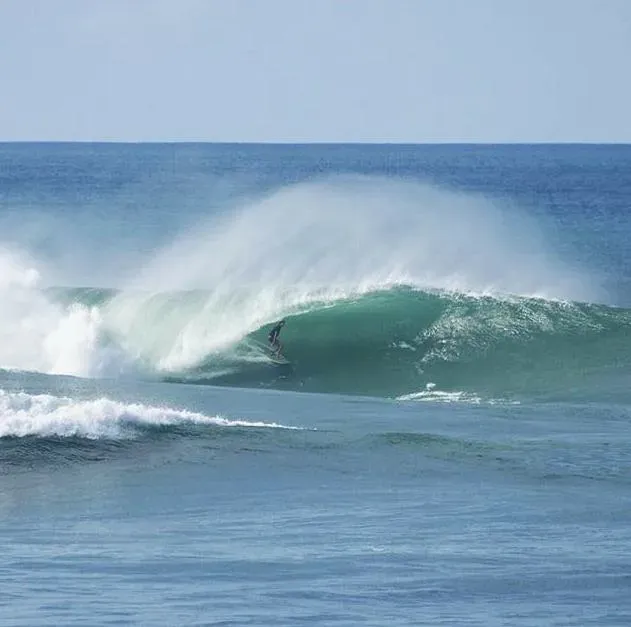 Image 13 - Surfing = Fun