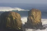 Image 14 - Surfing = Fun