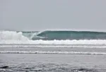 Image 17 - Surfing = Fun
