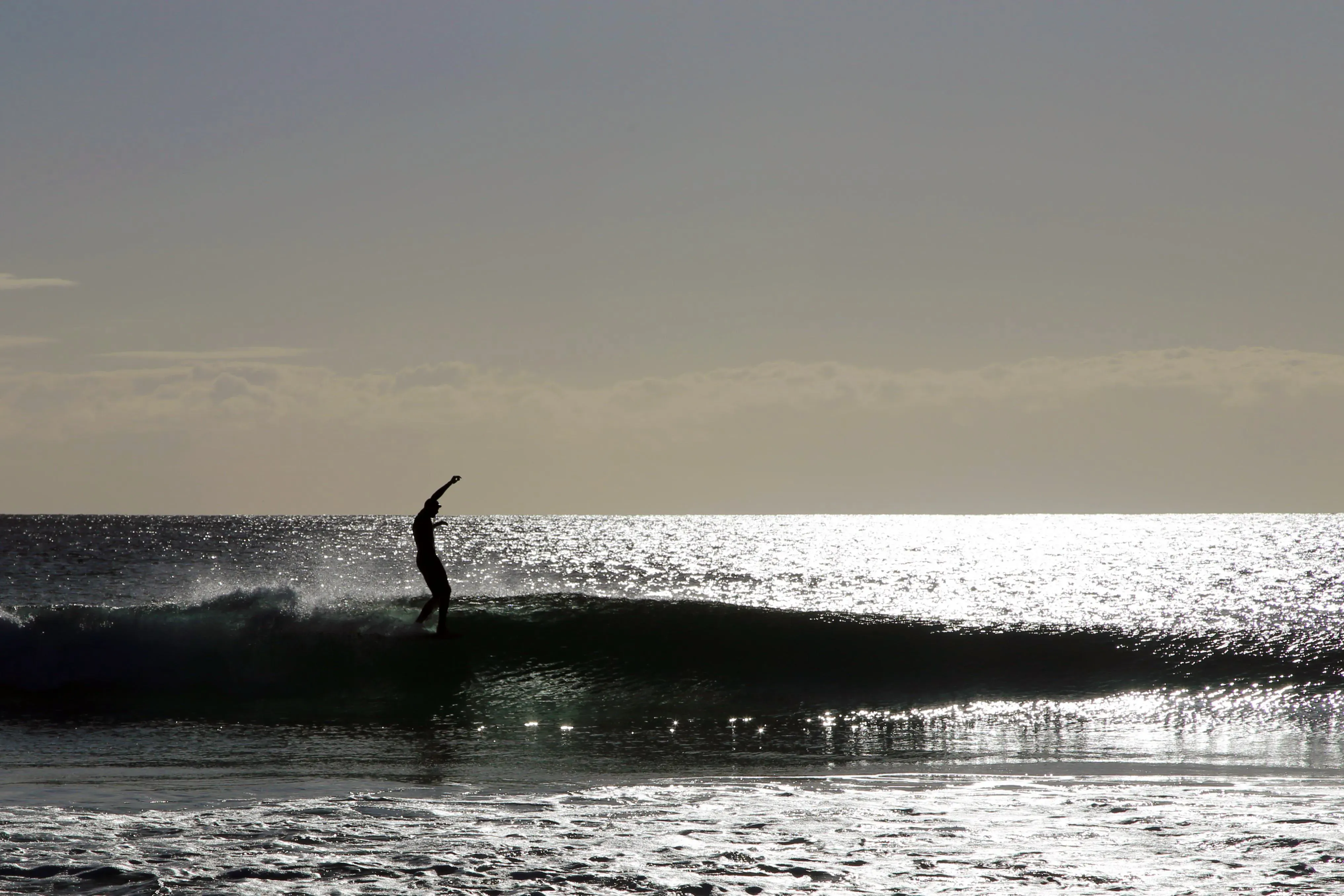 Image 23 - Surfing = Fun