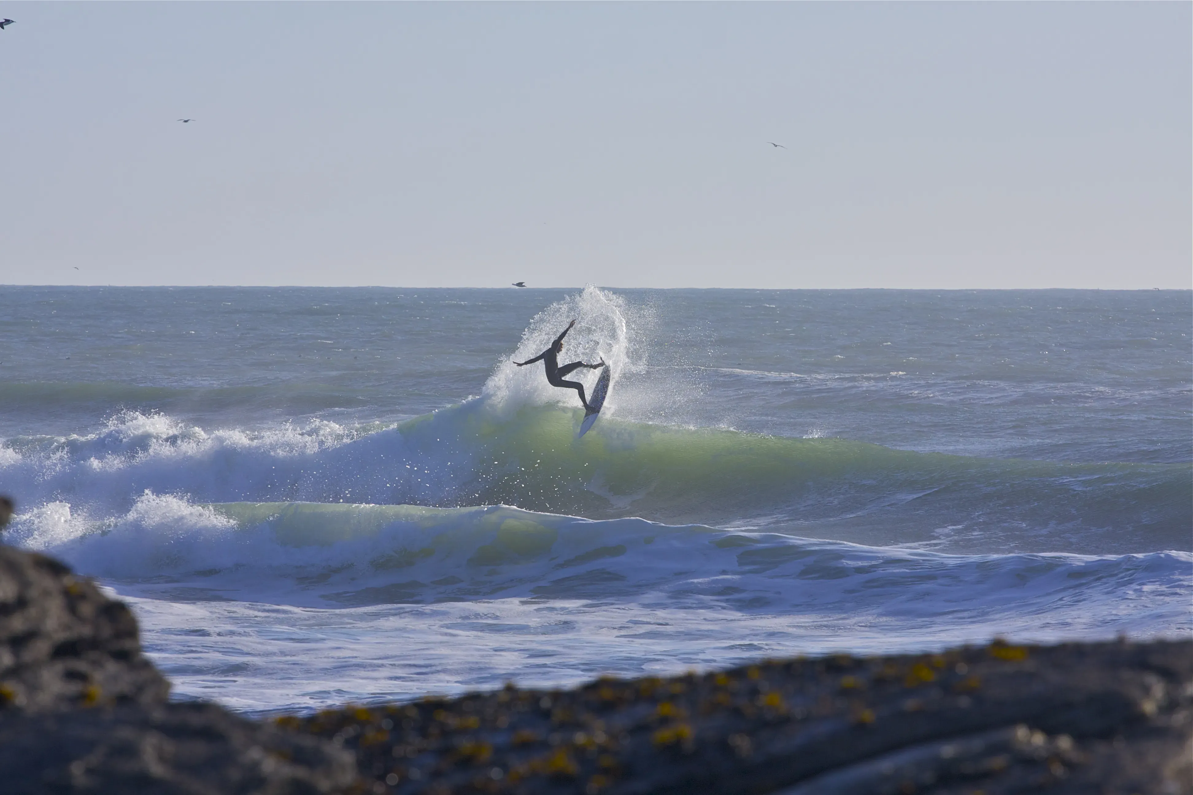 Image 28 - Surfing = Fun