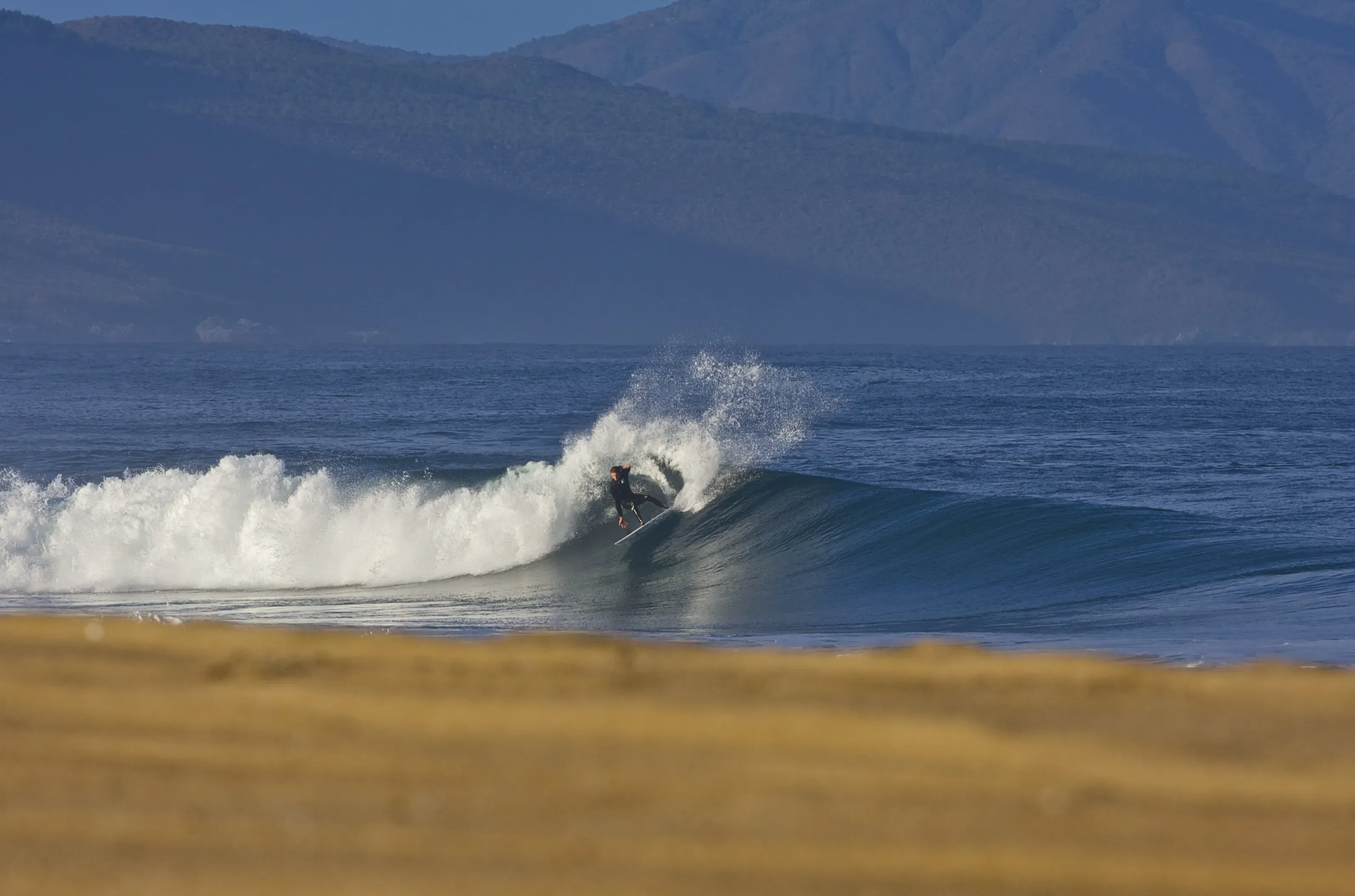 Image 31 - Surfing = Fun