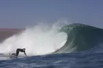 Image 35 - Surfing = Fun