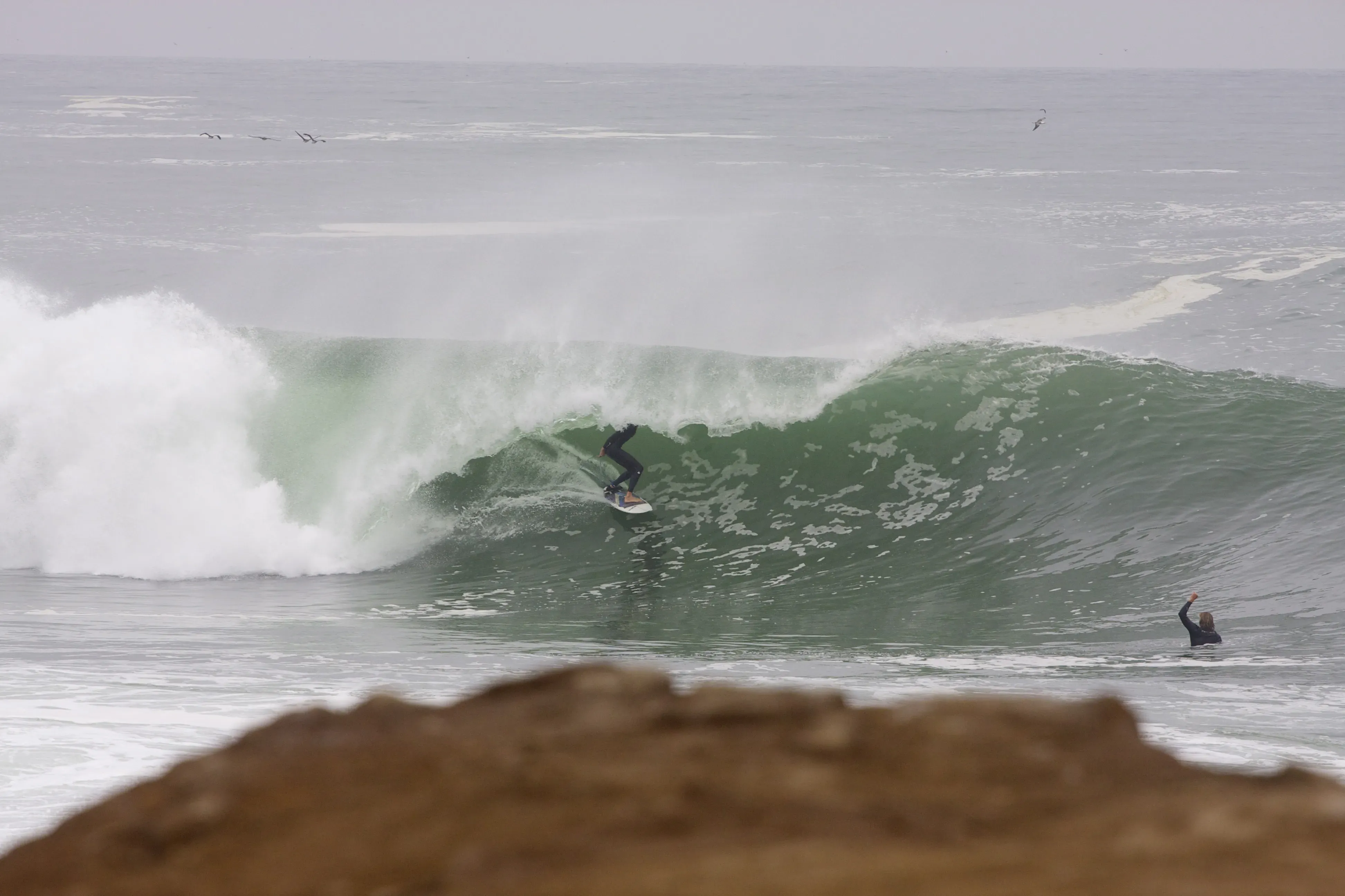 Image 37 - Surfing = Fun