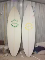 Image 39 - Surfing = Fun