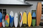 Image 43 - Surfing = Fun