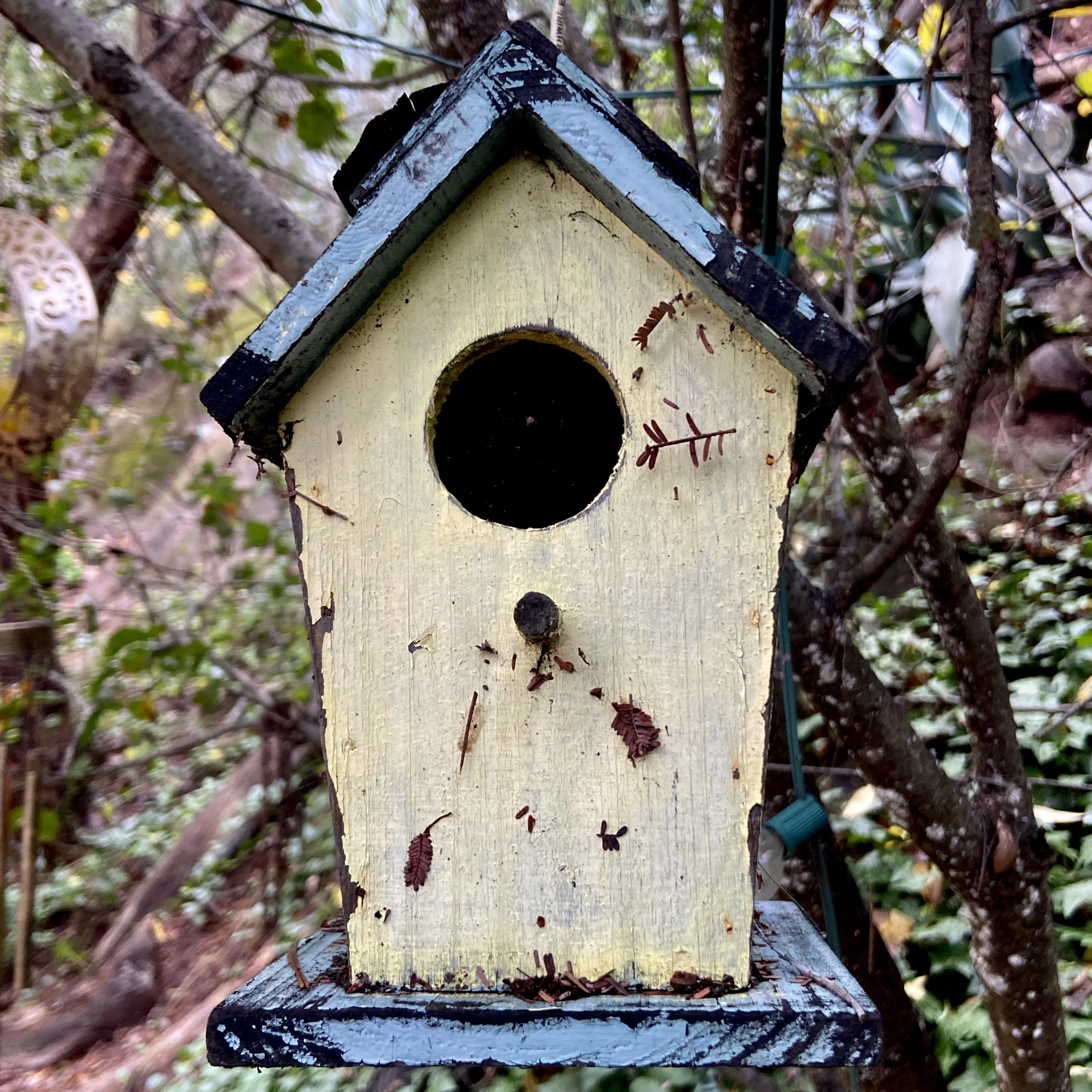 Garden in Topanga: 17