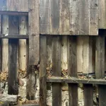 Garden in Topanga: 20