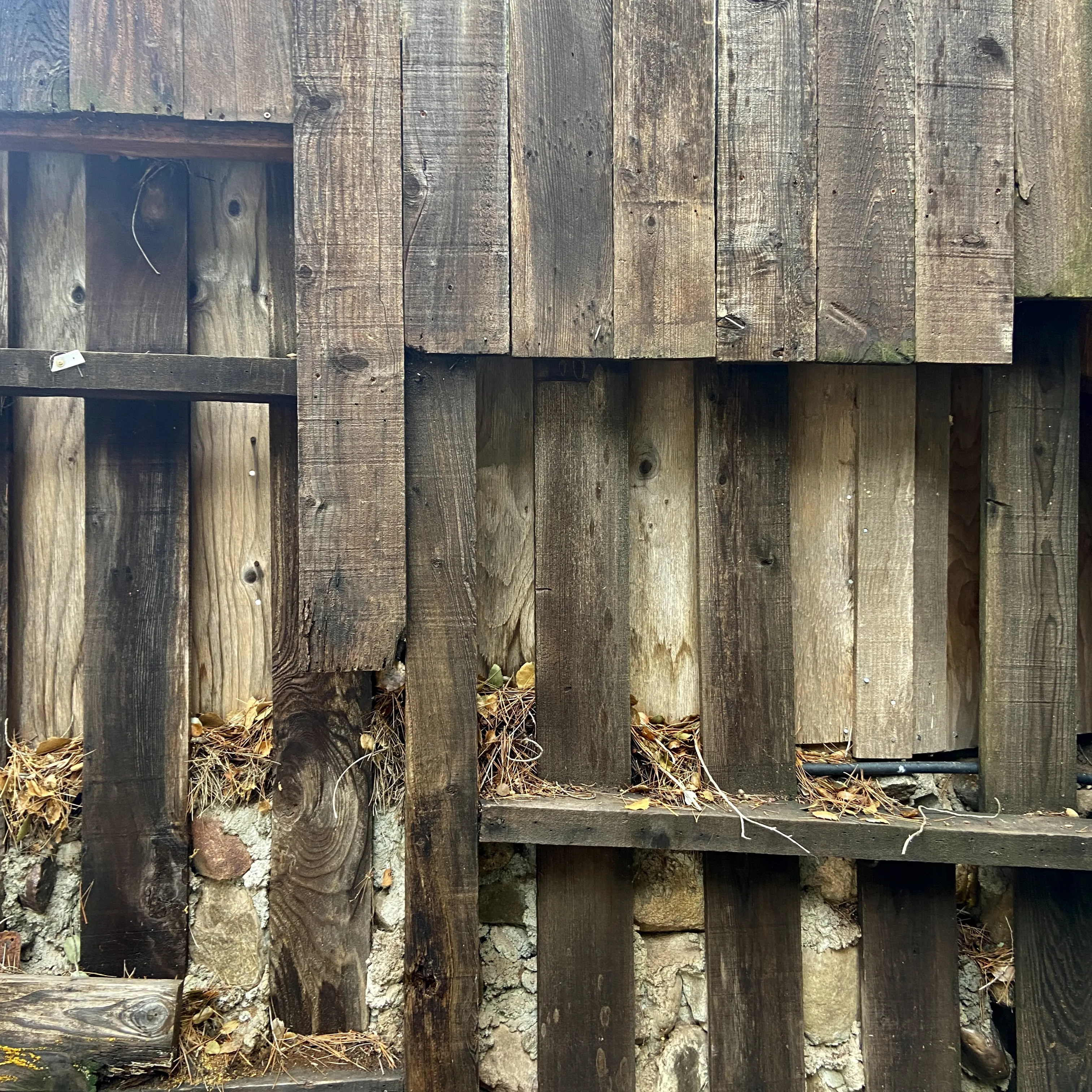 Garden in Topanga: 20