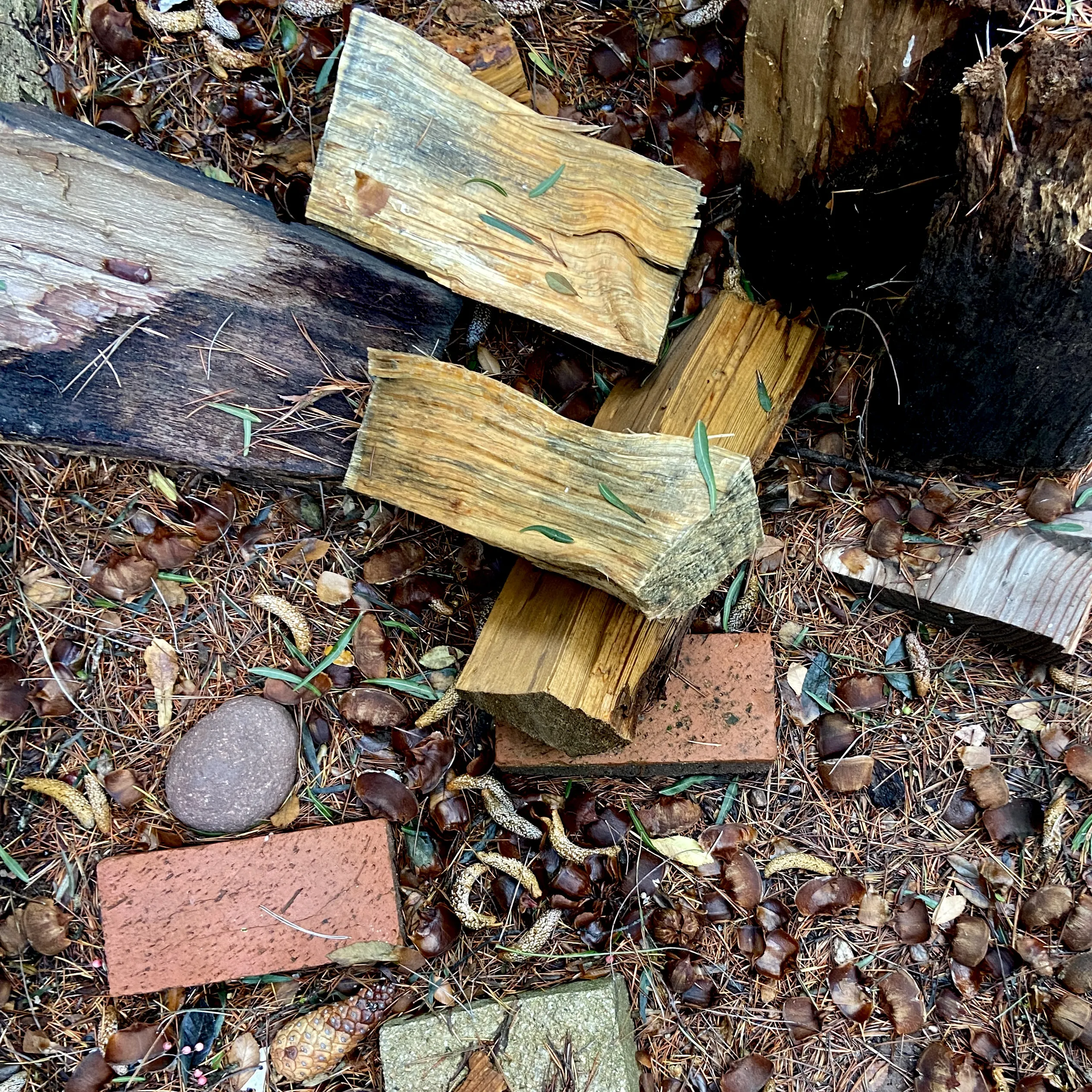 Garden in Topanga: 21