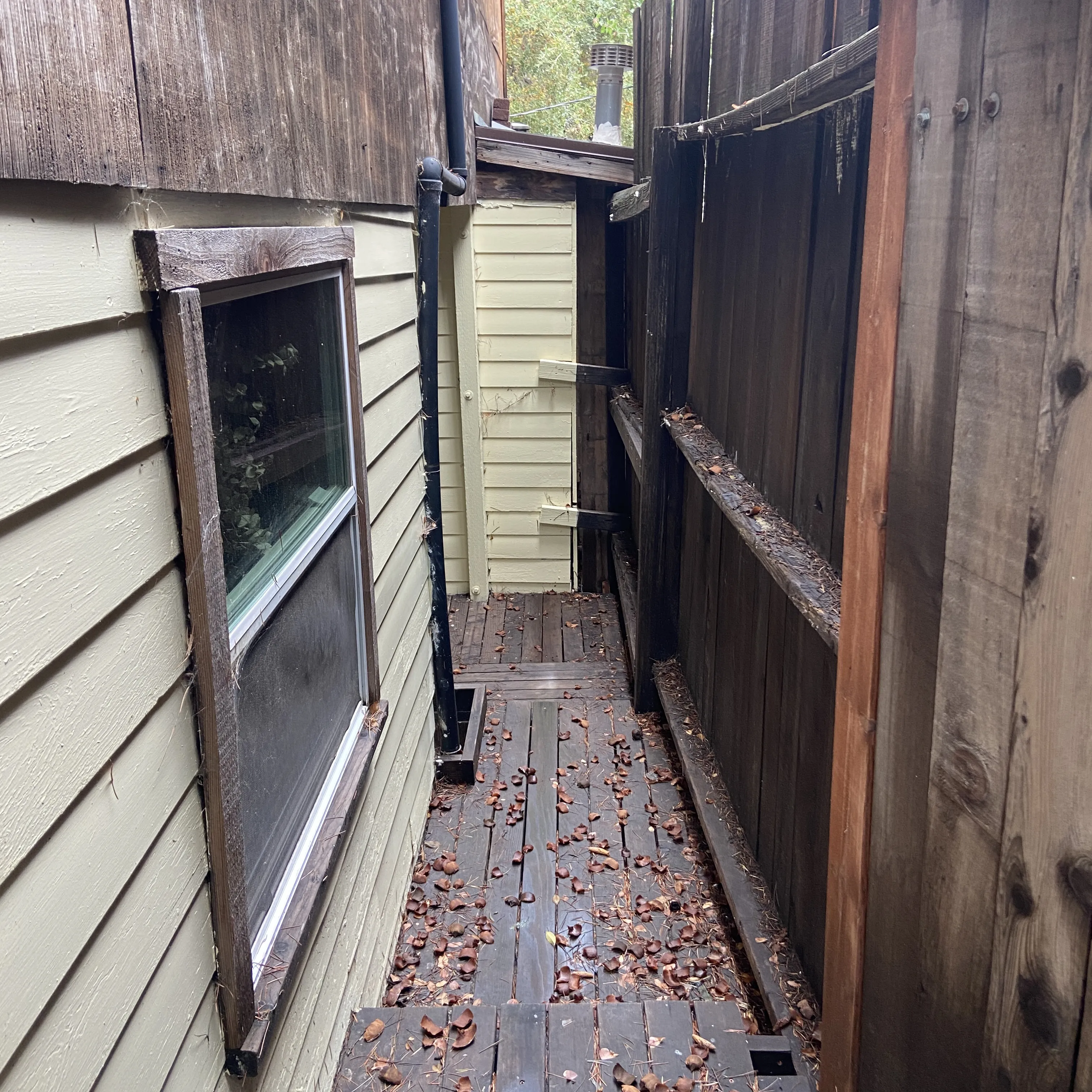 Garden in Topanga: 22