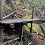 Garden in Topanga: 8