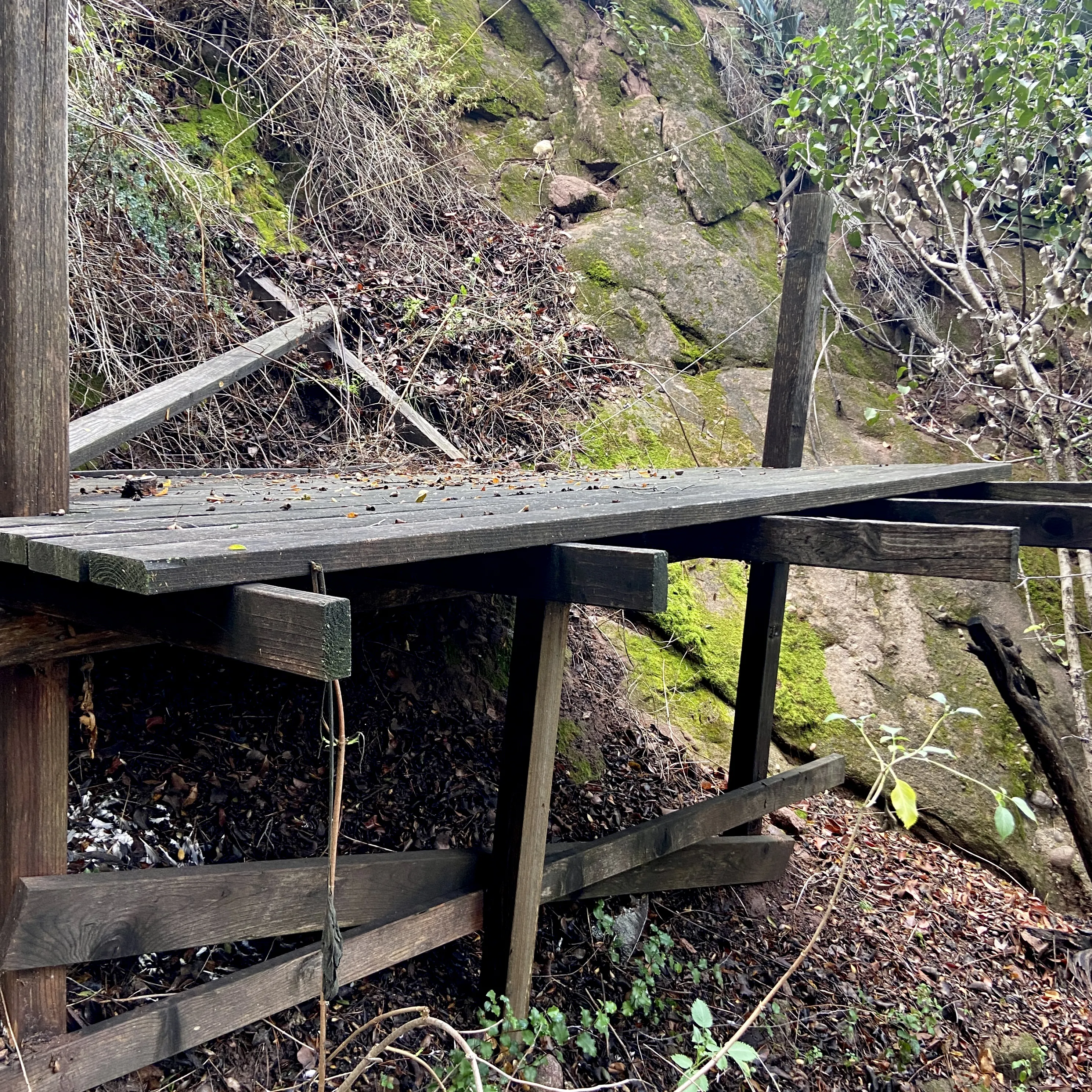 Garden in Topanga: 8