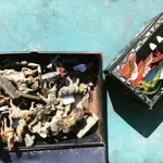 Image 34 - Trash/Treasure